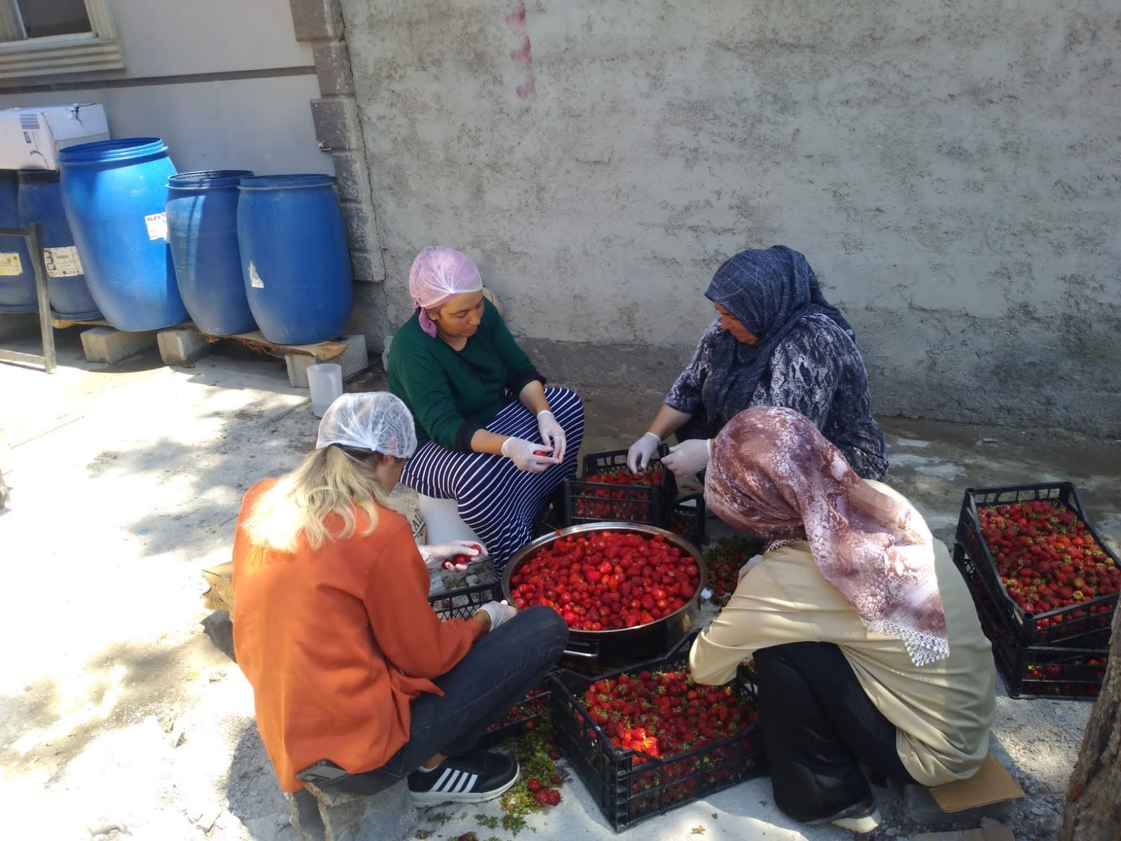 BELEDİYE’DEN DOĞAL ÇİLEK REÇELİ