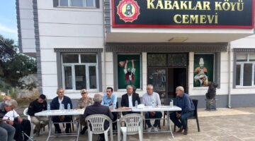 KAYMAKAM SOYLU’DAN MAHALLE ZİYARETİ