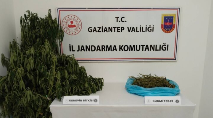 UYUŞTURUCU OPERASYONUNDA 1 ZANLI YAKALANDI